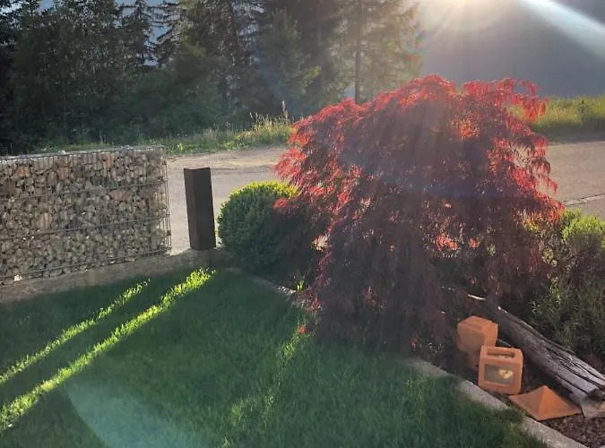 Gritsch Sommercard Inclusive Appartamento